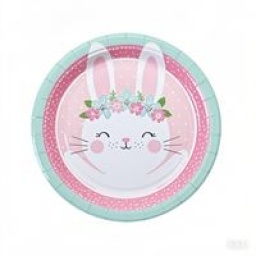 PLATOS PARA CUMPLEAOS 10 PCS 18 CM