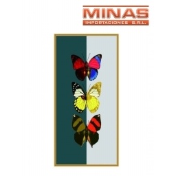 CUADRO 20 X 40 CM 12 DISEOS