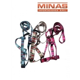 CORREA Y PECHERA PARA PERRO