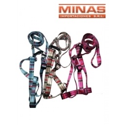 CORREA Y PECHERA PARA PERRO