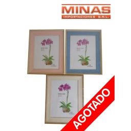 PORTAR RETRATO 3 COLORES 15 X 20CM