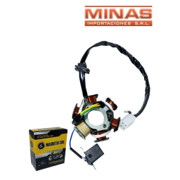 ENCENDIDO PARA MOTOS, DE 6 BOBINAS.