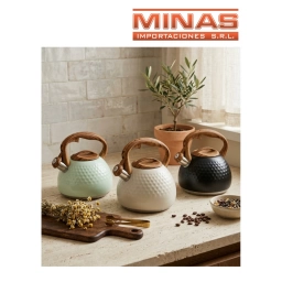 CALDERA GERAT DE AC. INOXIDABLE CON ASA DE SILICONA X 3 L, APTA PARA INDUCCION, PATRON DE CIRCULOS, 3 COLORES.