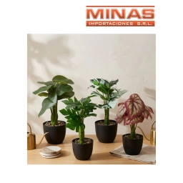 PLANTA DECORATIVA 9 CM X 26 CM,4 MODELOS.