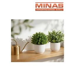 PLANTA DECORATIVA 12 CM X 20 CM, 2 MODELOS.