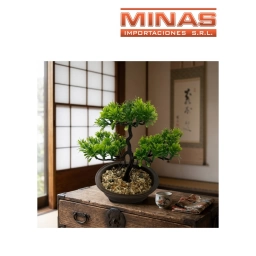 PLANTA DECORATIVA 18 CM X 25 CM, BONSAI.