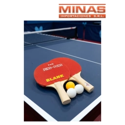 SET PING PONG 2 PALETAS + 3 PELOTAS.